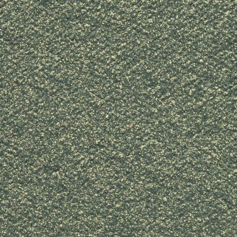 ev-008